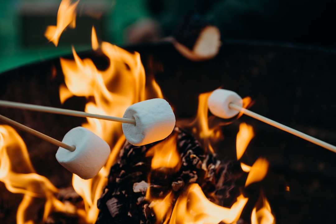 Photo fire pit